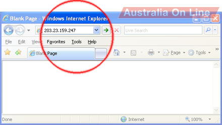 Type '203.23.159.247' into Internet Explorer's address bar the click the green arrow (or green Go button). 